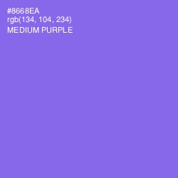 #8668EA - Medium Purple Color Image