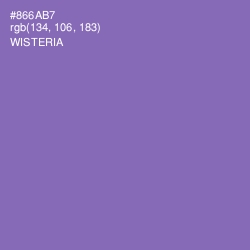 #866AB7 - Wisteria Color Image