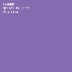 #866BB1 - Wisteria Color Image