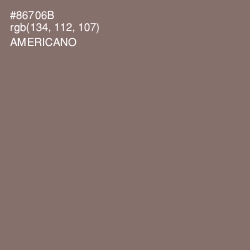 #86706B - Americano Color Image