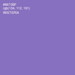 #8670BF - Wisteria Color Image