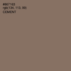 #867163 - Cement Color Image