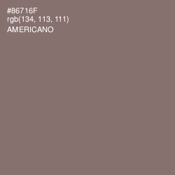 #86716F - Americano Color Image