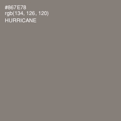 #867E78 - Hurricane Color Image