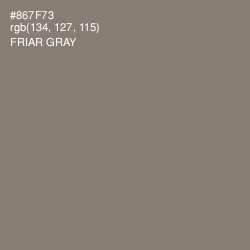 #867F73 - Friar Gray Color Image