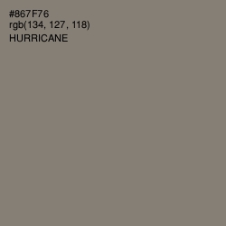 #867F76 - Hurricane Color Image