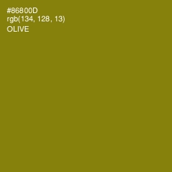 #86800D - Olive Color Image