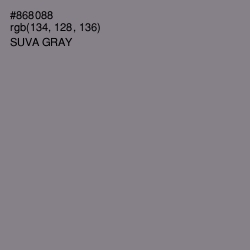 #868088 - Suva Gray Color Image
