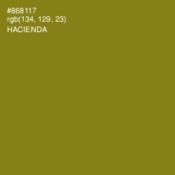 #868117 - Hacienda Color Image