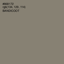 #868172 - Bandicoot Color Image