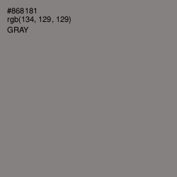 #868181 - Gray Color Image