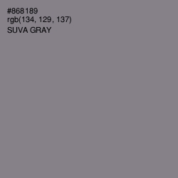 #868189 - Suva Gray Color Image