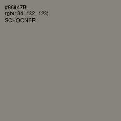#86847B - Schooner Color Image