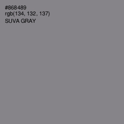 #868489 - Suva Gray Color Image