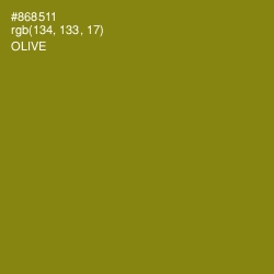 #868511 - Olive Color Image