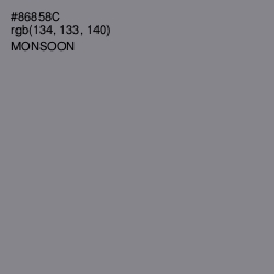 #86858C - Monsoon Color Image