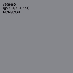 #86868D - Monsoon Color Image