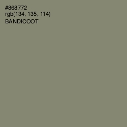 #868772 - Bandicoot Color Image