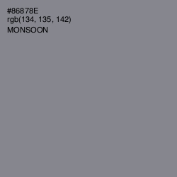 #86878E - Monsoon Color Image