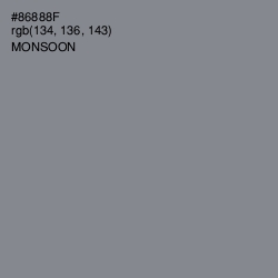 #86888F - Monsoon Color Image