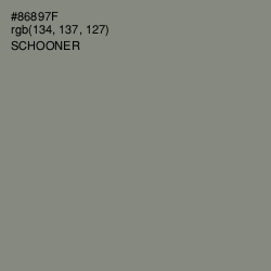 #86897F - Schooner Color Image