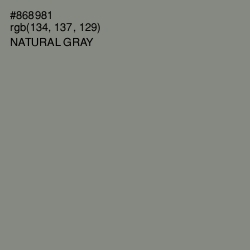 #868981 - Natural Gray Color Image