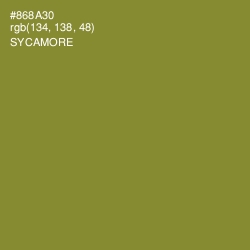 #868A30 - Sycamore Color Image