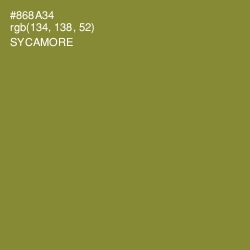 #868A34 - Sycamore Color Image