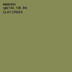 #868A54 - Clay Creek Color Image