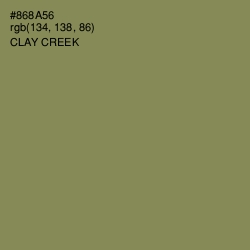 #868A56 - Clay Creek Color Image