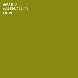 #868B12 - Olive Color Image