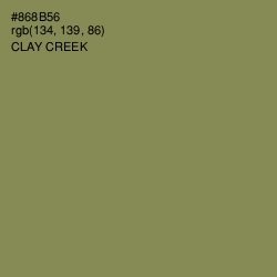 #868B56 - Clay Creek Color Image