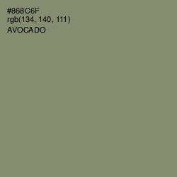 #868C6F - Avocado Color Image