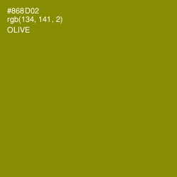 #868D02 - Olive Color Image