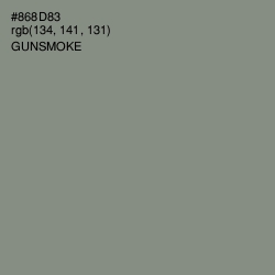 #868D83 - Gunsmoke Color Image