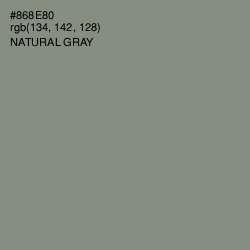 #868E80 - Natural Gray Color Image