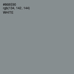 #868E90 - Oslo Gray Color Image