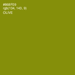 #868F09 - Olive Color Image