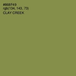 #868F49 - Clay Creek Color Image