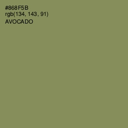 #868F5B - Avocado Color Image