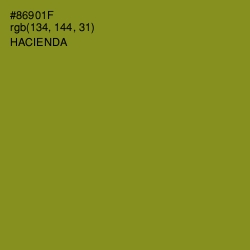 #86901F - Hacienda Color Image