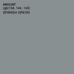 #86908F - Spanish Green Color Image