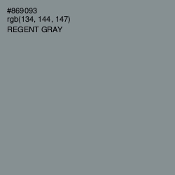 #869093 - Regent Gray Color Image