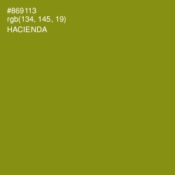 #869113 - Hacienda Color Image