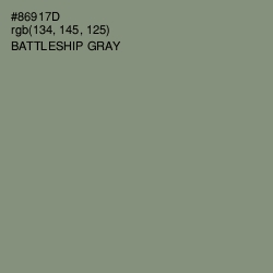 #86917D - Battleship Gray Color Image