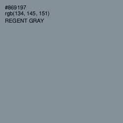 #869197 - Regent Gray Color Image