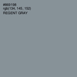 #869198 - Regent Gray Color Image