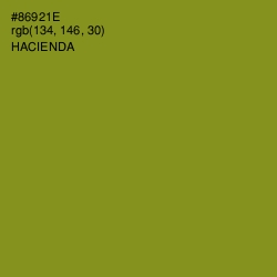 #86921E - Hacienda Color Image