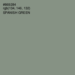 #869284 - Spanish Green Color Image