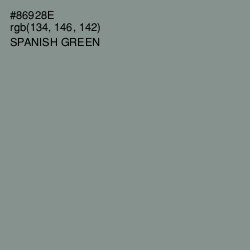 #86928E - Spanish Green Color Image